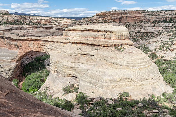 Scandinavian Glow: Chasing Midnight Sun and Nordic Magic